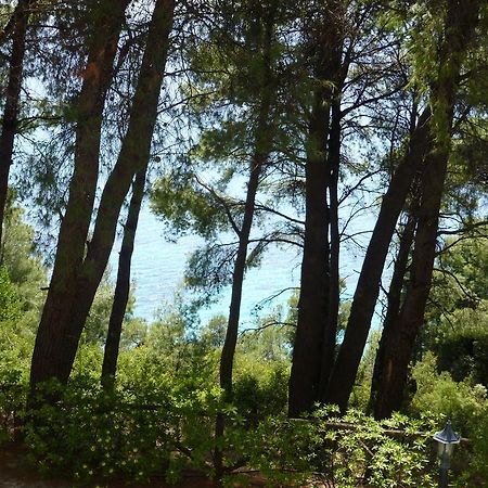 Dryades Hotel Siviri Bagian luar foto