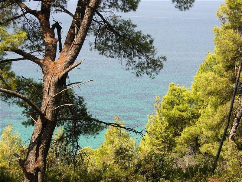 Dryades Hotel Siviri Bagian luar foto