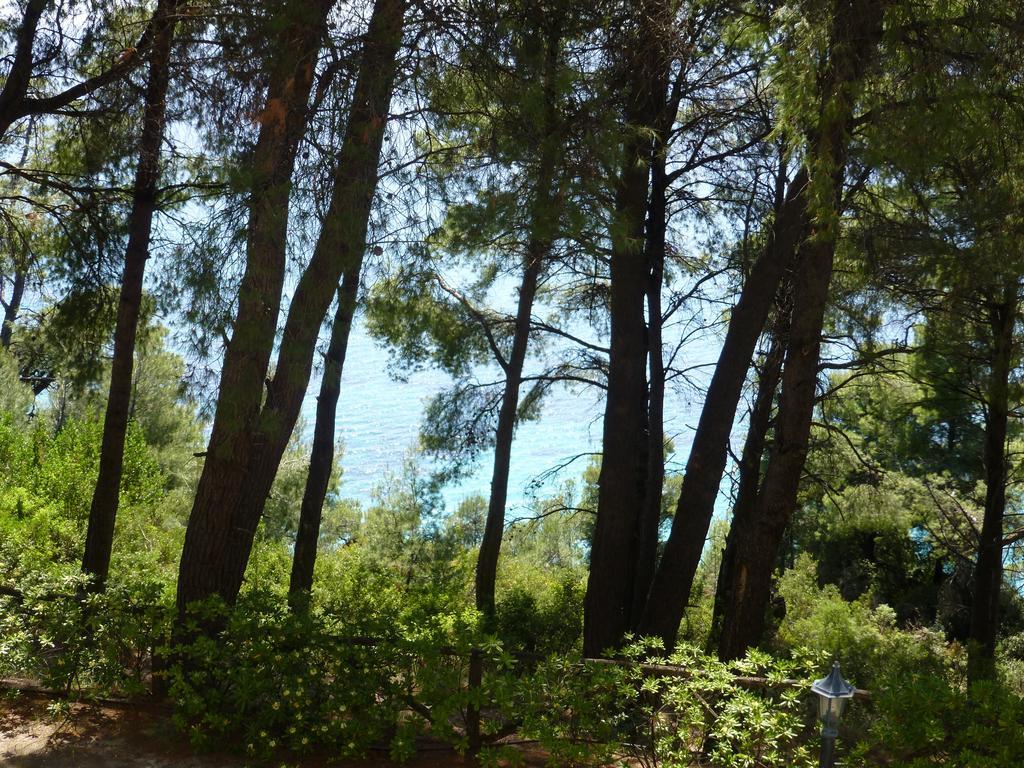 Dryades Hotel Siviri Bagian luar foto